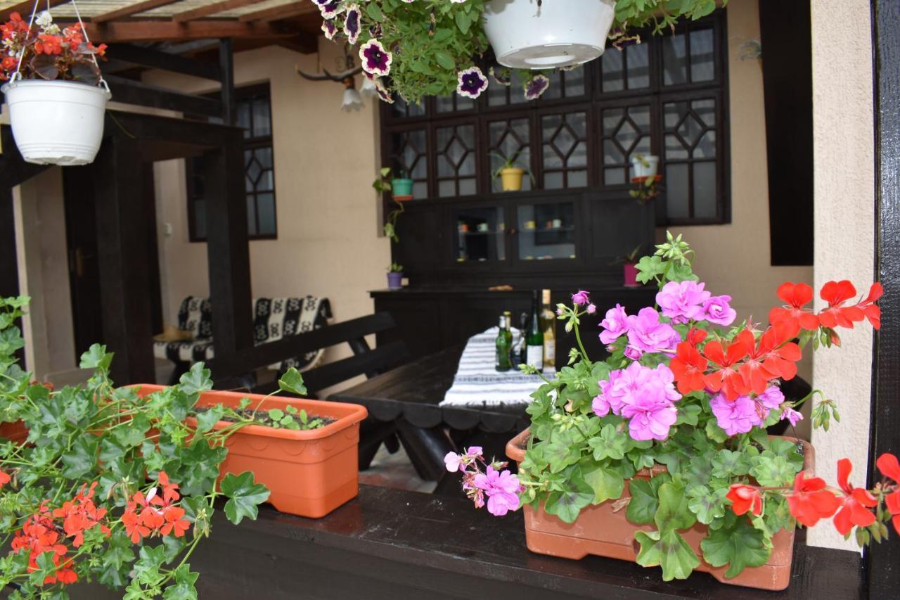 Clematis House Villa Воронец Екстериор снимка