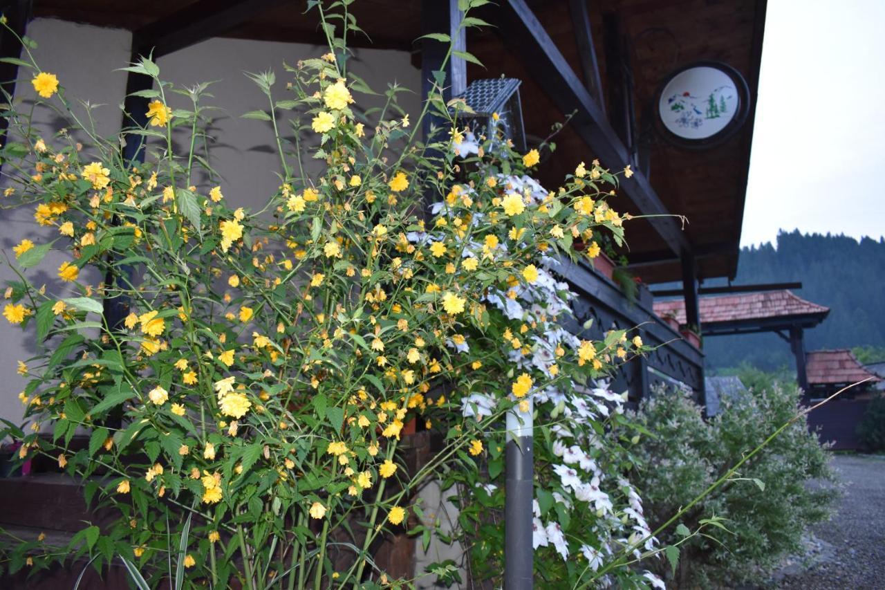 Clematis House Villa Воронец Екстериор снимка