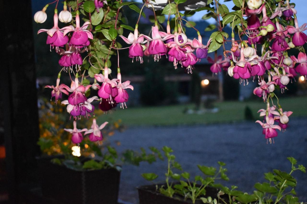 Clematis House Villa Воронец Екстериор снимка